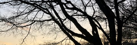 Daddy’s little girl